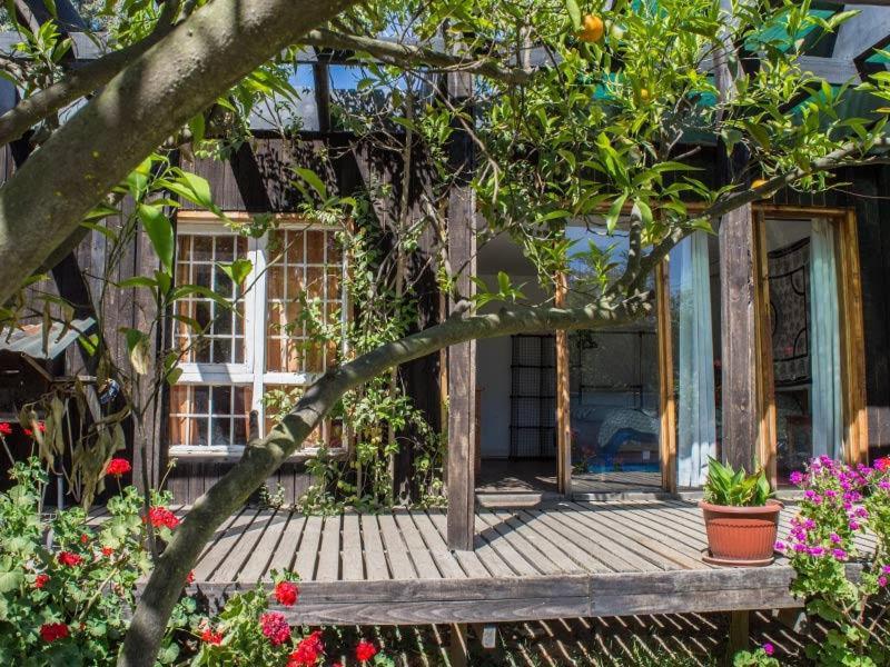 Casa Campo Lindo Olmué Zewnętrze zdjęcie