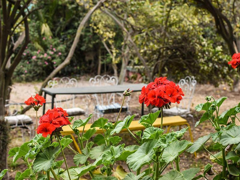 Casa Campo Lindo Olmué Zewnętrze zdjęcie